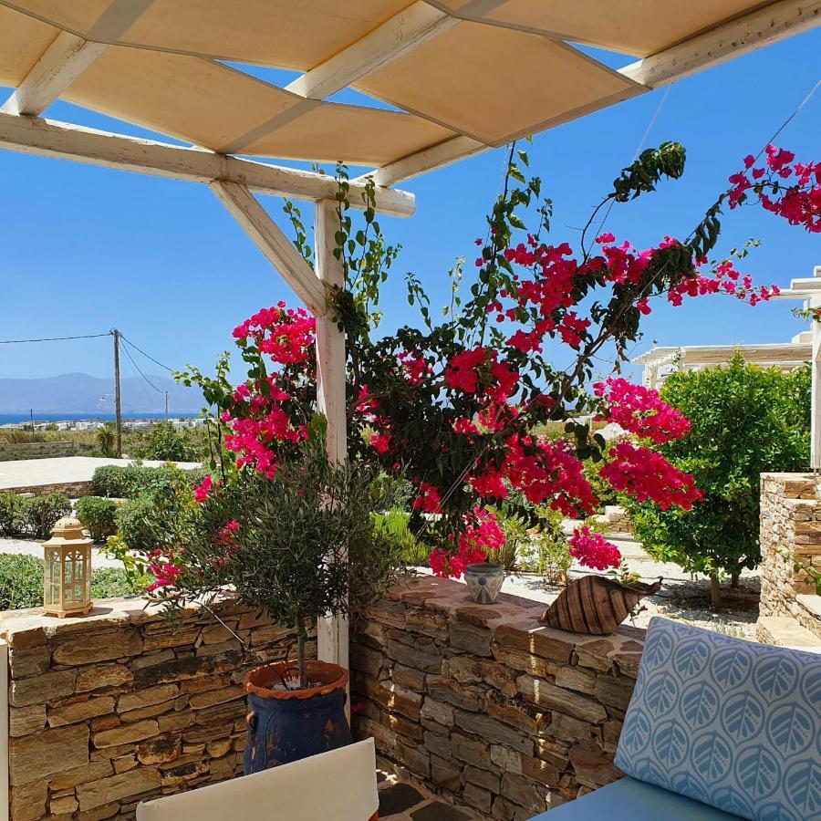הוילה Agios Arsenios Casa Brad מראה חיצוני תמונה